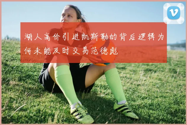 湖人高价引进凯斯勒的背后逻辑为何未能及时交易范德彪